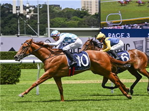 「出于选择」夺冠Spelling At Coolmore Mt White让赛