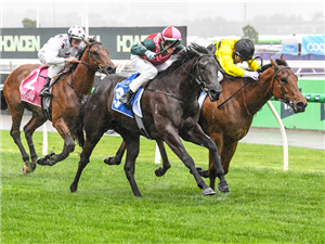 「鱿鱼圈圈」夺冠英格利斯旗帜大赛