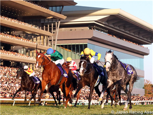 CALANDAGAN (green silks) winning the Japan Cup at Tokyo in Japan.