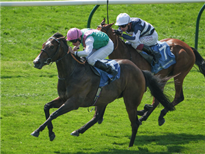 COSMIC YEAR winning the King Charles II Stakes at Newmarket in England.