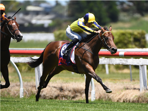 DASHING DIXIE winning the DJ BLOODSTOCK 2YO