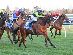 「巨磐石」 「巨磐石」