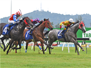 ENERGY BABY winning the Apr 27 2025 Selangor Meeting Race 9 (293) : Class 2 - 1400M [lc-A4] Prize Money :RM 62000 17:00 WIN TIME : 1:22.53