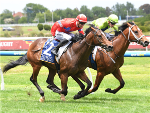 「不朽战士」胜出默森库珀锦标赛