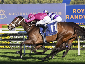 「狂迷女孩」夺冠在兰德威克赛马场上举办的7锦标赛