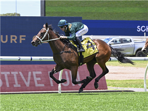 「火球」夺冠SCHWEPPES让赛