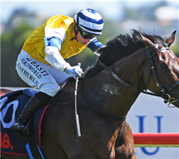 FIRST FIVE winning the J SWAP SPRINT