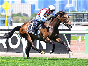 「好感觉」胜出警觉锦标赛