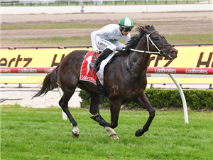 Gin&nbsp;A&nbsp;Tonic.