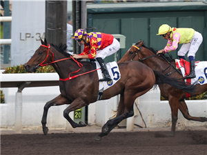GORGEOUS WIN winning the CHATHAM HANDICAP