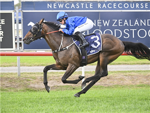 GREEN SPACES winning the NZB 3YO SPRING STAKES at Newcastle in Australia.