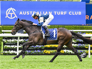 GRINGOTTS winning the BIG DANCE at Randwick in Australia.