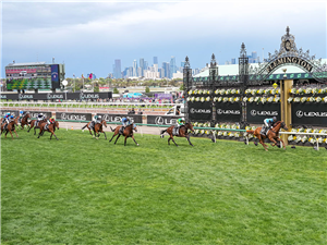 HALF YOURS winning the Melbourne Cup at Flemington in Australia.