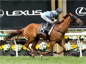 「半属你」胜出墨尔本杯