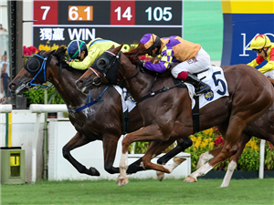 HAPPY UNIVERSE&nbsp;