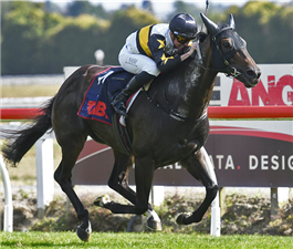 「给你惊喜」 「给你惊喜」