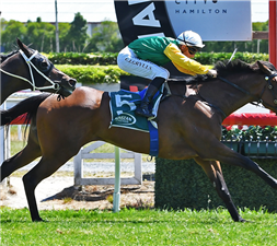 HINEKAHA winning the CAL ISUZU STAKES