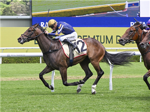 「冰酷」 「冰酷」