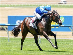 INKARUNA winning the Lamaro's Hotel Chairman's Stakes (Chute) at Sandown in Australia.