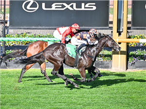 「吉米里卡德」