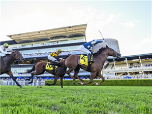 JIMMYSSTAR winning the SCHWEPPES ALL AGED STAKES at Randwick in Australia.