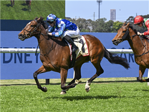 JUJA KIBO winning the PETALUMA HANDICAP at Rosehill in Australia.