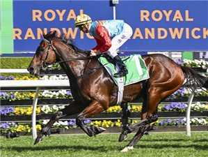 KA YING RISING winning the THE TAB EVEREST at Randwick in Australia.