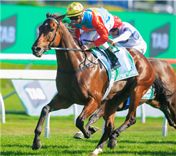 KA YING RISING winning the THE TAB EVEREST