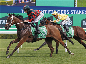 LADY SHENANDOAH winning the TAB LIGHT FINGERS STAKES