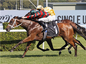 LADY SHENANDOAH winning the THE CHASE SURROUND STAKES