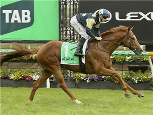 LIGHT INFANTRY MAN winning the TAB Australian Cup