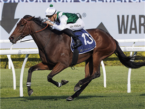 「米莉月亮」夺冠克莱门格财团让赛(THE CONSORTIUM CLEMENGER HANDICAP) 「米莉月亮」夺冠克莱门格财团让赛(THE CONSORTIUM CLEMENGER HANDICAP)