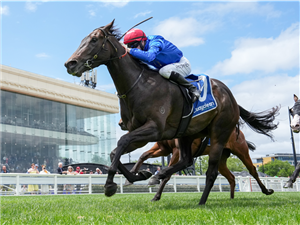 「赛车」夺冠蓝宝石锦标赛