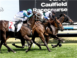 MR BRIGHTSIDE winning the Lamaro's Hotel Futurity Stakes