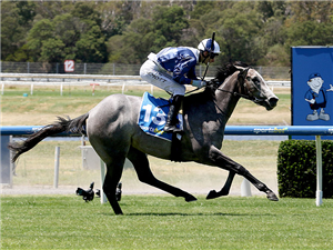 MY GLADIOLA winning the Sportsbet Blue Diamond Preview (F)(Chute)