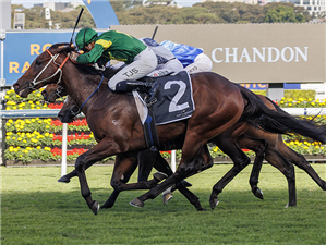 NEPOTISM winning the MO?T & CHANDON CHAMPAGNE STAKES