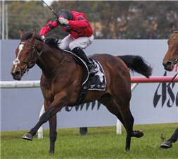 「忍者」 「忍者」