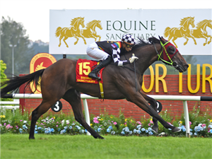 NOAH KHAN winning the Race 9