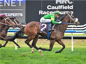 「奥雷舞者」 「奥雷舞者」