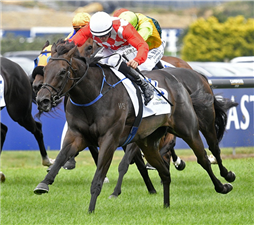 「管弦乐队」胜出奥特亚罗瓦经典赛