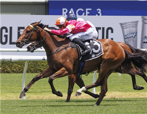 OUI OUI OUI winning the ORAN PARK MIDWAY HANDICAP