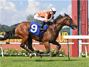 PACIFIC VAMPIRE winning the Race 9