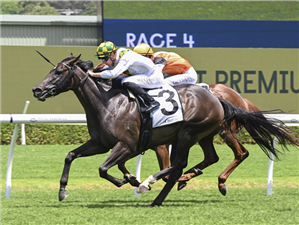 PLAINTIFF winning the MACQUARIE ST SOCIAL HANDICAP at Randwick in Australia.