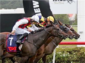 「普罗旺斯」胜出穆法萨经典赛