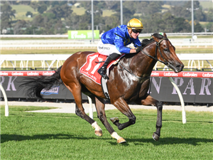 RECON winning the Fulmen Park I Wish I Win at Pakenham in Australia.