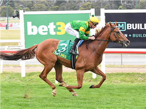 「帝威宙斯」夺冠在基尔莫尔举办的基尔莫尔杯（Kilmore Cup）