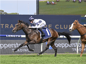 金礼物大赛冠军「复仇怒潮」在今年的英格利斯经典拍卖中售出