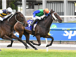 「路锥」在考菲尔德赛马场荒野赛道上