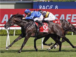 「御皇赞助」胜出坎特伯雷锦标赛