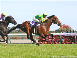 SATONO REVE winning the Takamatsunomiya Kinen at Chukyo in Japan.